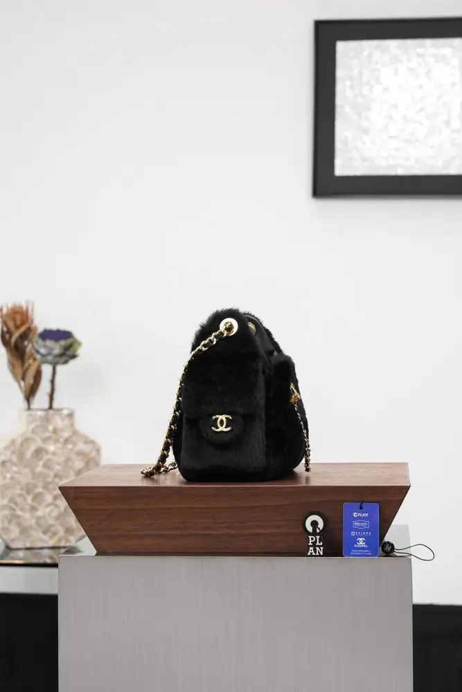 Chanel A bag 25 Bag fur 22 cm — Photo 3