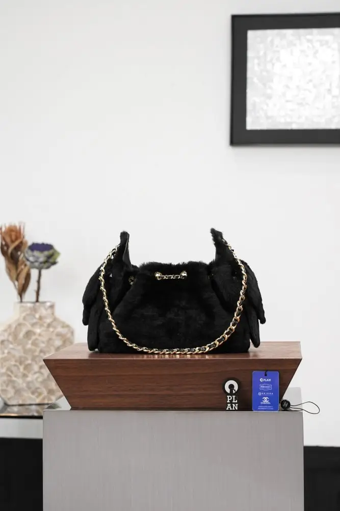 Chanel A bag 25 Bag fur 22 cm — Photo 4