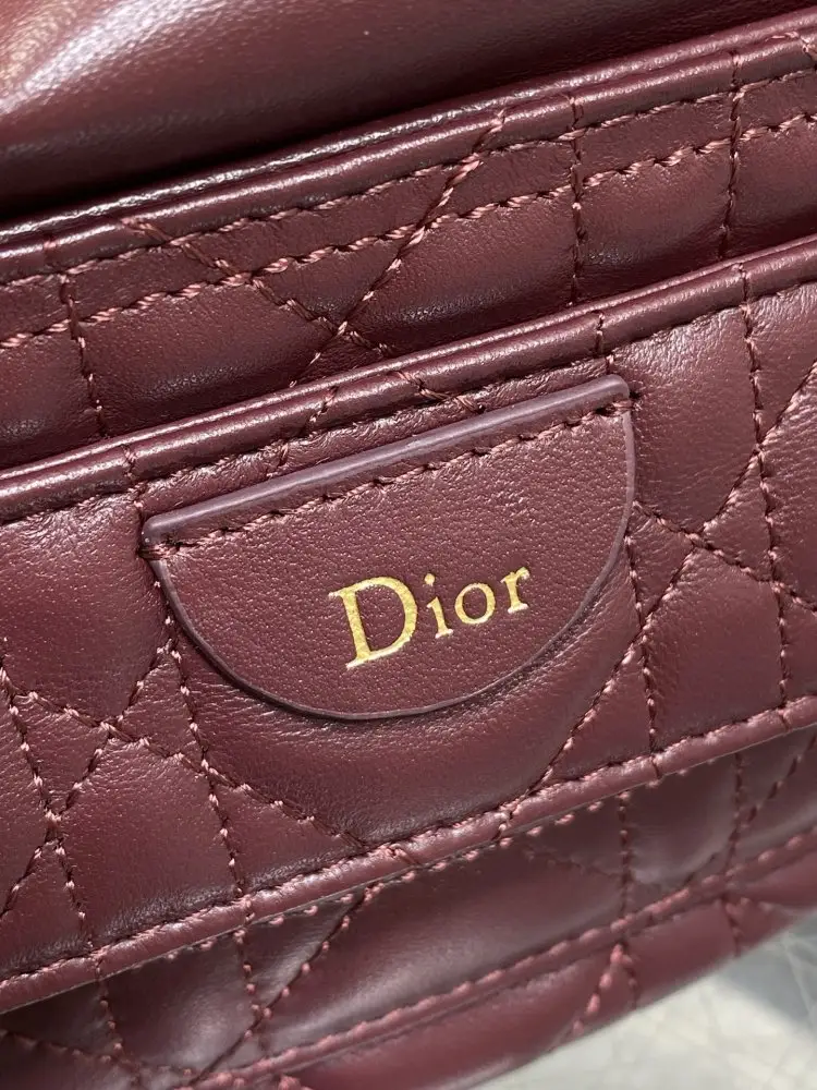 Christian Dior Сумка відро 22 см шкіряна на зав'язках — Фото 2