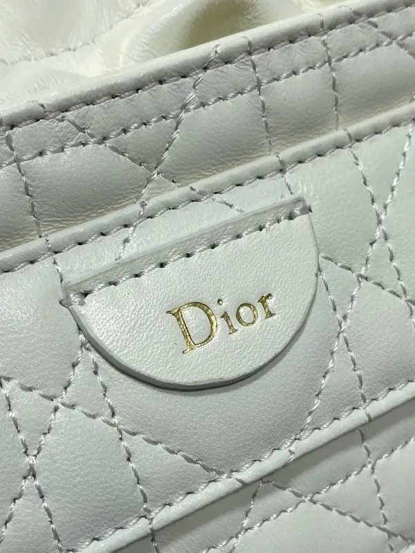 Christian Dior A bag-bucket Caro Bucket 22 cm leather on expositions — Photo 4
