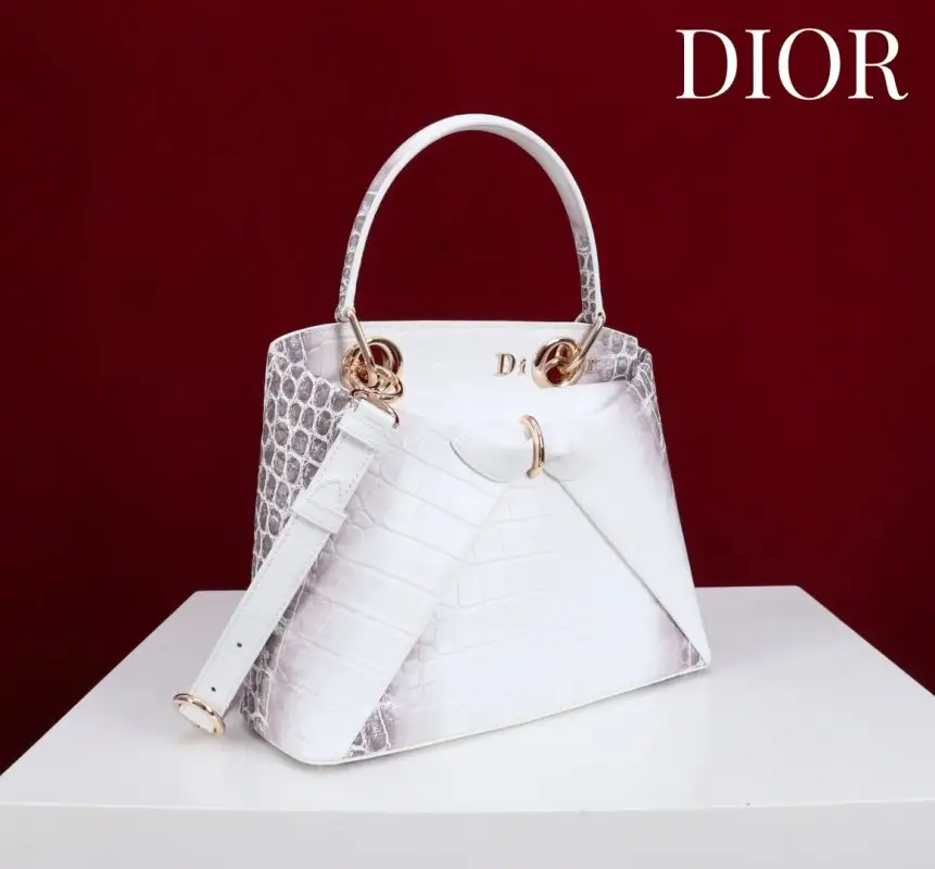 Christian Dior A bag Dior Cigale 28 cm at skin crocodile — Photo 2