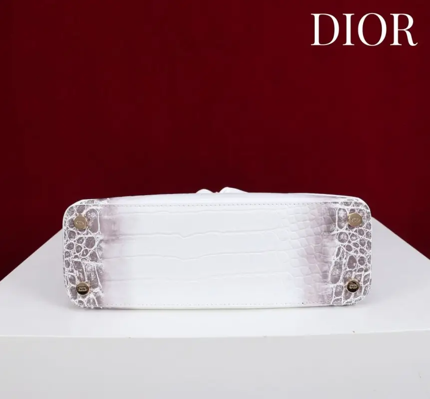 Christian Dior A bag Dior Cigale 28 cm at skin crocodile — Photo 3