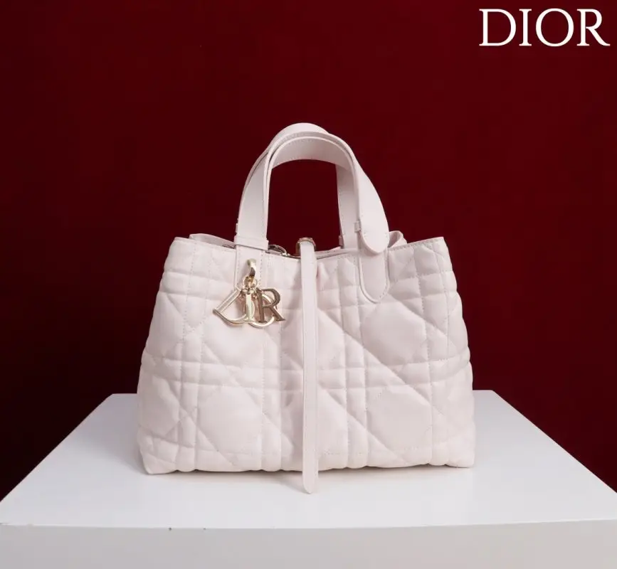 Christian Dior A bag Dior Toujours Medium 23 cm — Photo 2