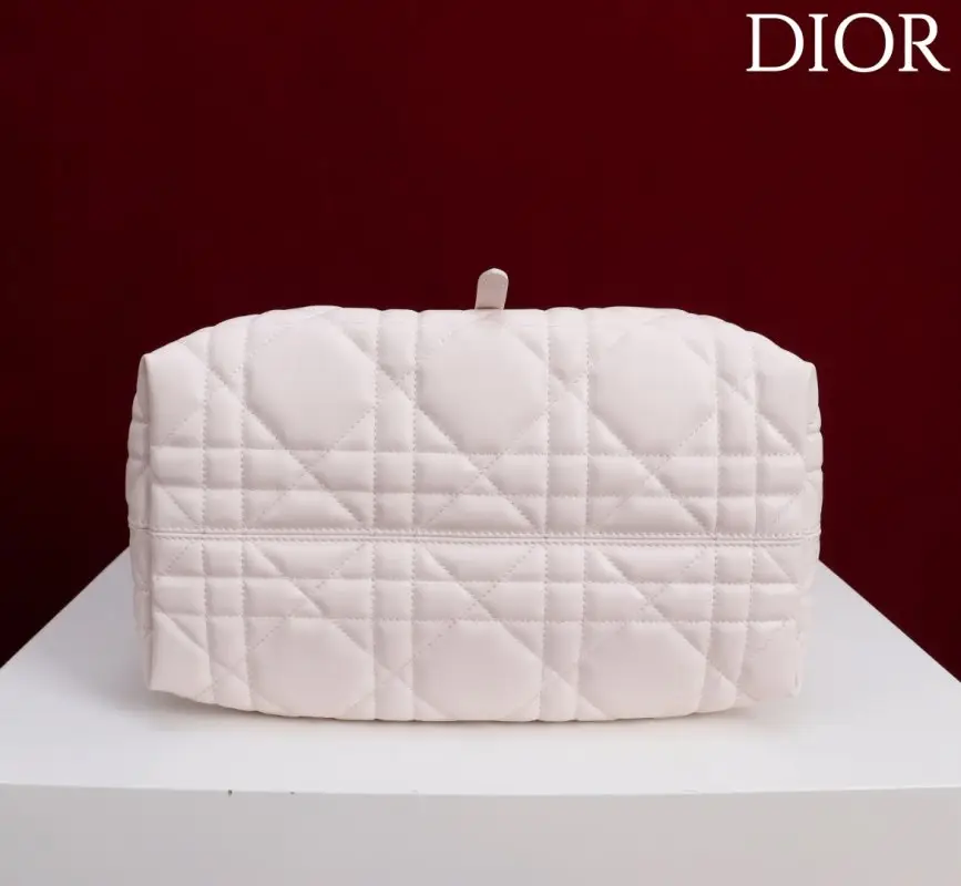 Christian Dior A bag Dior Toujours Medium 23 cm — Photo 5