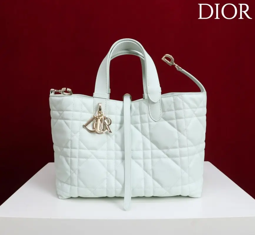 Christian Dior Сумка Dior Toujours Medium 23 см — Фото 5