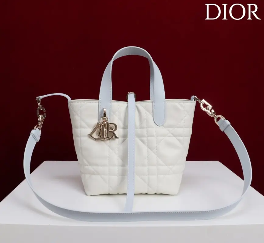 Christian Dior — A bag Dior Toujours Small 16 cm