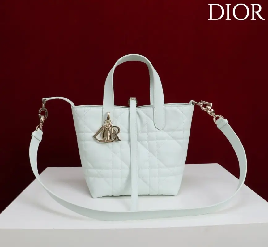 Christian Dior A bag Dior Toujours Small 16 cm — Photo 1