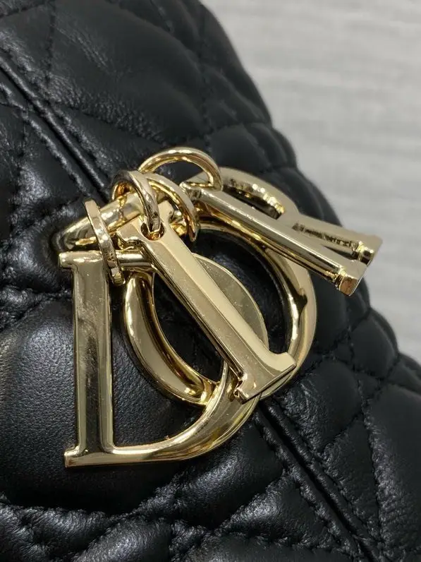 Christian Dior Сумка Dior Winter 26 Toujours Hobo 22 см — Фото 5