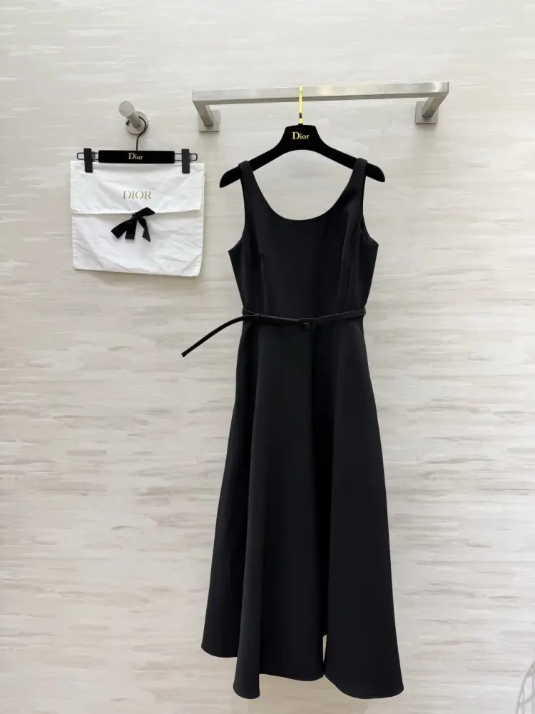 Christian Dior — Плаття, Сукня