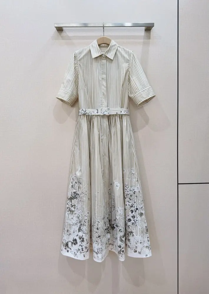 Christian Dior — Плаття, Сукня