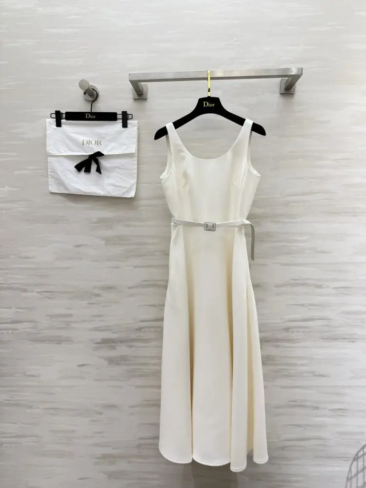Christian Dior — Плаття, Сукня