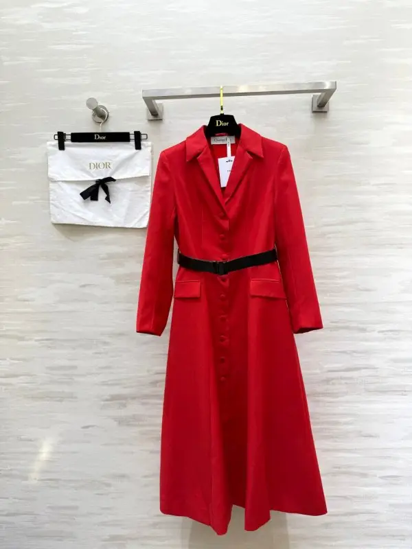 Christian Dior — Плаття, Сукня