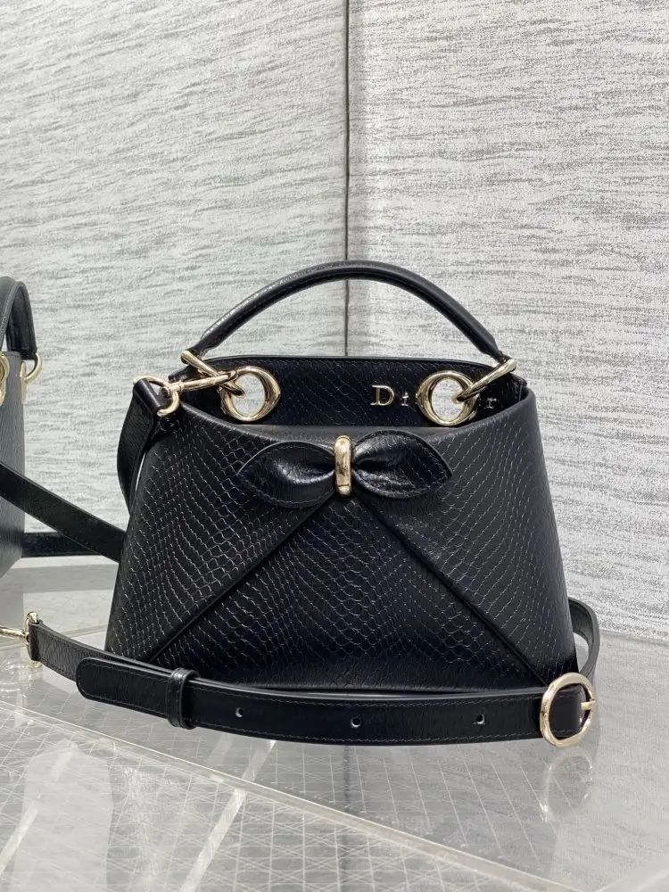Christian Dior — Жіноча шкіряна сумка Dior Cigale 21 см