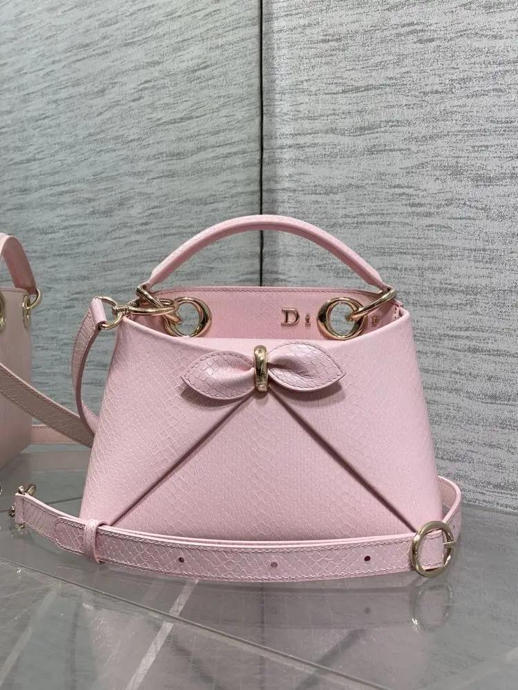 Christian Dior — Жіноча шкіряна сумка Dior Cigale 21 см