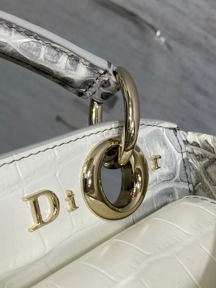 Christian Dior Жіноча шкіряна сумка Dior Cigale 21 см — Фото 3