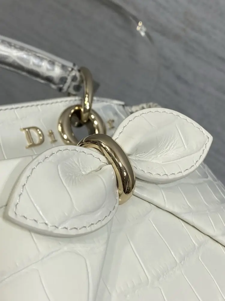 Christian Dior Жіноча шкіряна сумка Dior Cigale 21 см — Фото 4