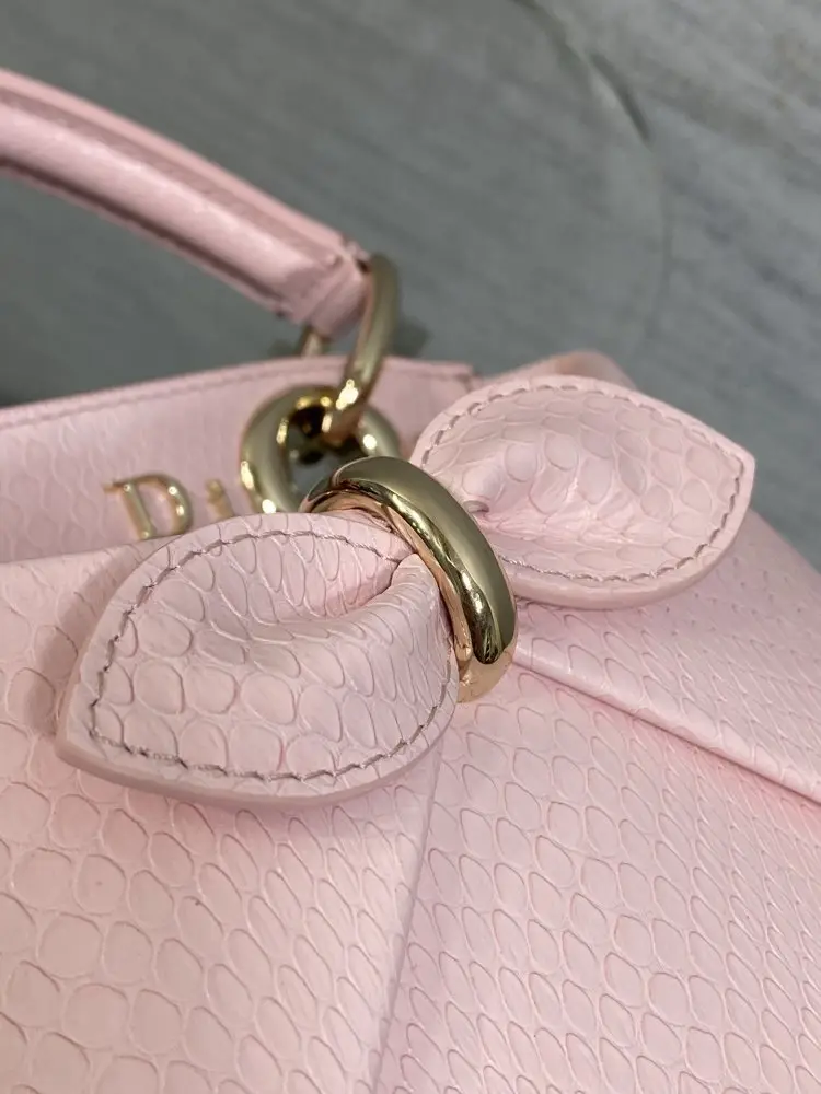 Christian Dior Жіноча шкіряна сумка Dior Cigale 21 см — Фото 4