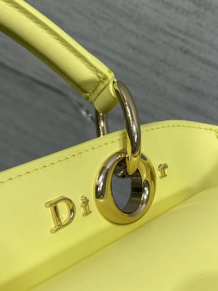 Christian Dior Women's leather a bag Dior Cigale 28 cm — Photo 3