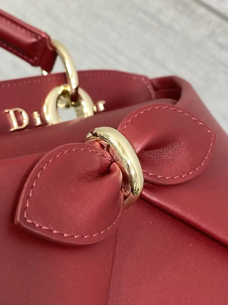 Christian Dior Женская кожаная сумка Dior Cigale 28 см — Фото 4