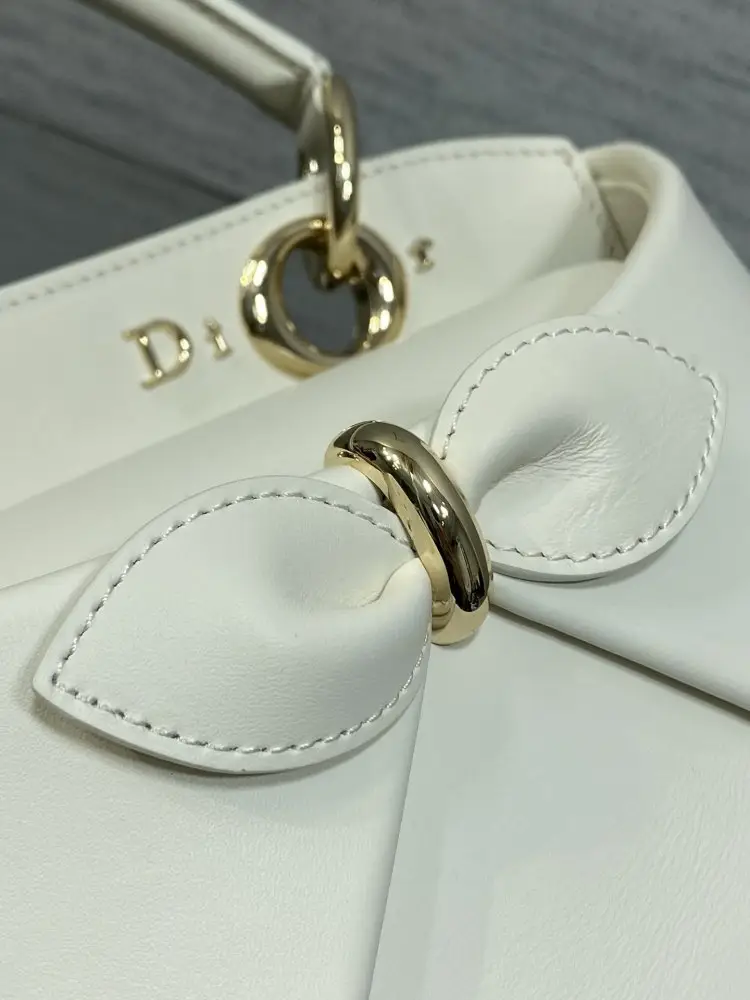 Christian Dior Женская кожаная сумка Dior Cigale 28 см — Фото 4