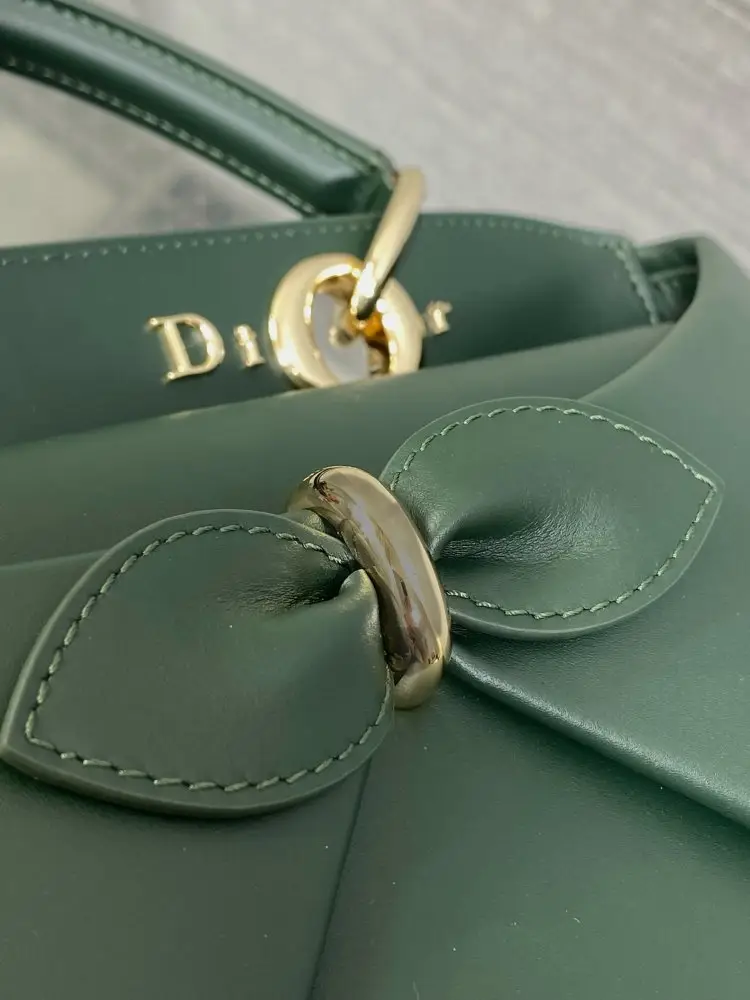 Christian Dior Жіноча шкіряна сумка Dior Cigale 33 см — Фото 4