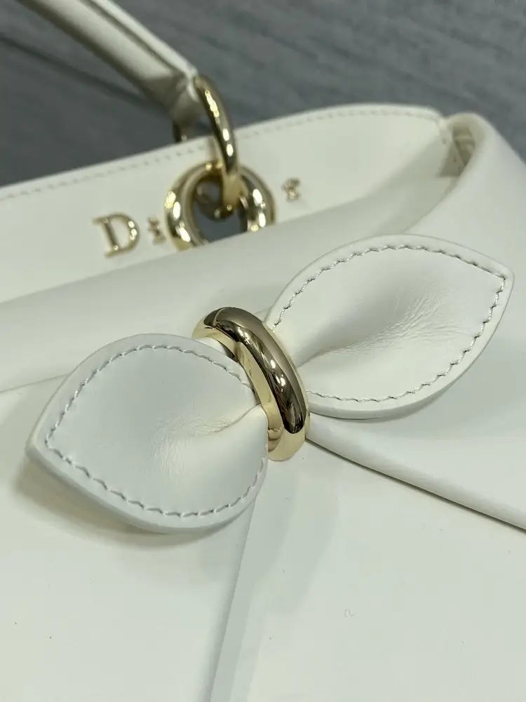 Christian Dior Жіноча шкіряна сумка Dior Cigale 33 см — Фото 4