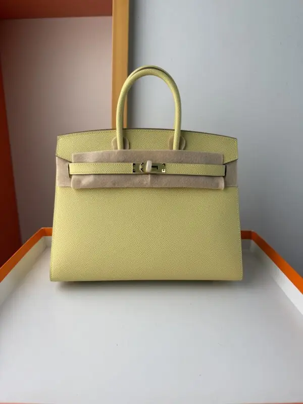 Hermes Сумка Birkin 25 см в шкірі Epsom — Фото 1