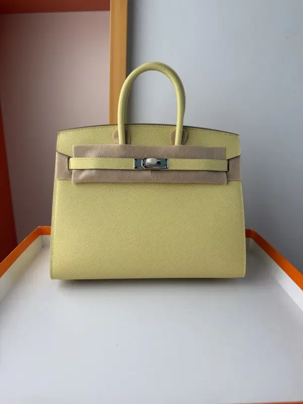 Hermes — Сумка Birkin 25 см в шкірі Epsom
