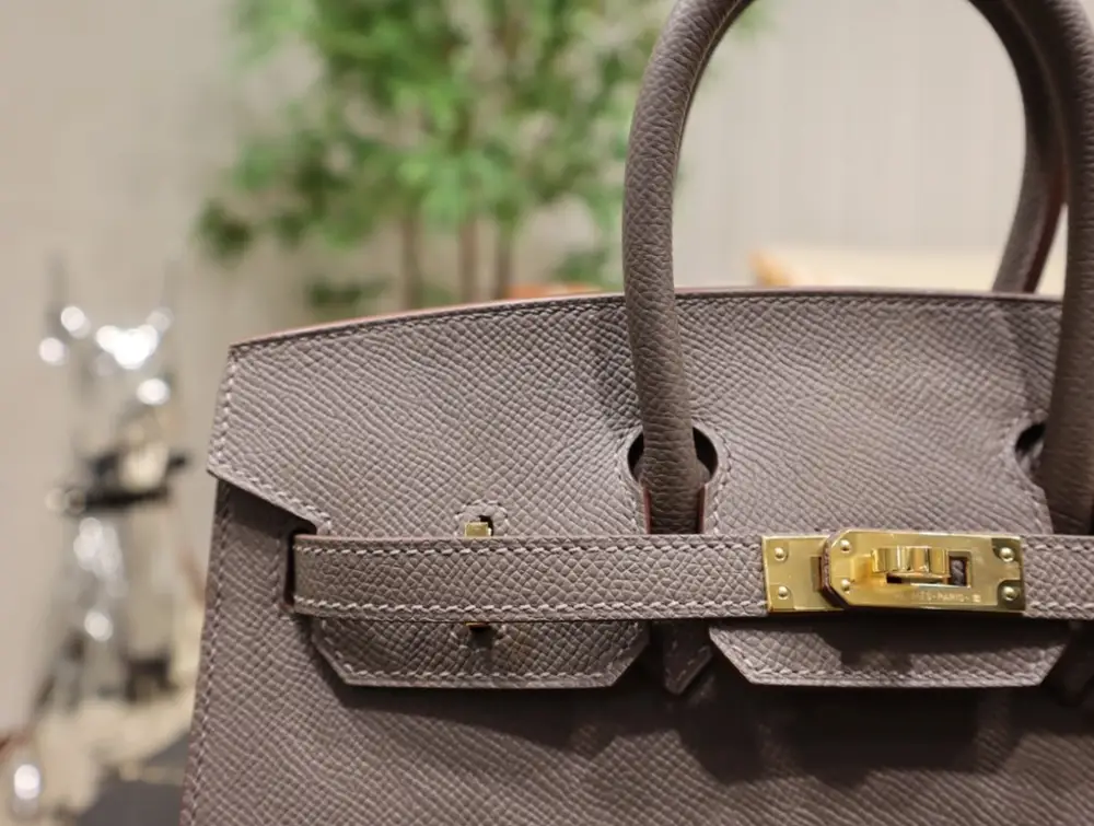 Hermes Сумка Birkin 25 см в коже Epsom — Фото 5