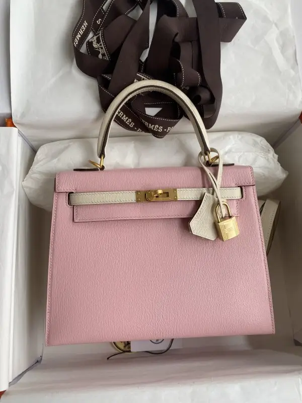 Hermes — A bag Kelly 25 of goat skin