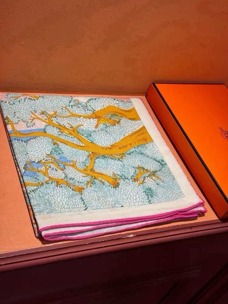 Hermes Scarf of cashmere — Photo 2