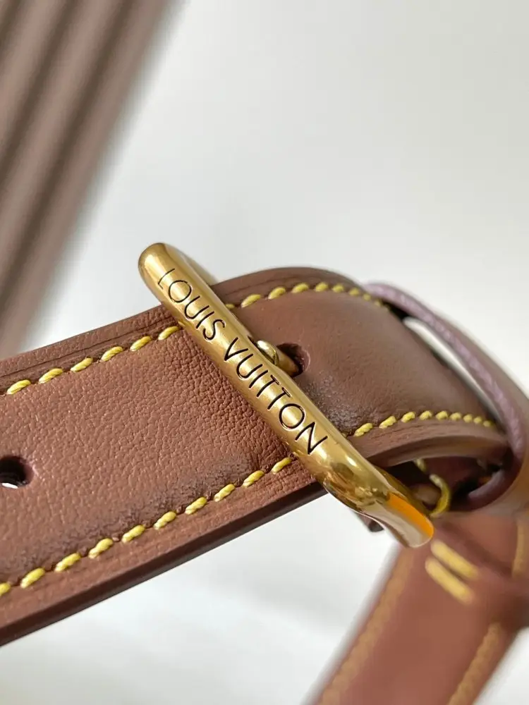 Louis Vuitton Сумка Bandouliere 25 — Фото 5