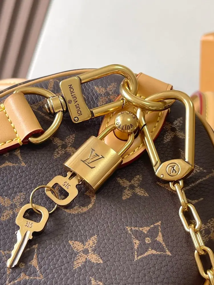 Louis Vuitton Сумка Bandouliere 25 — Фото 5
