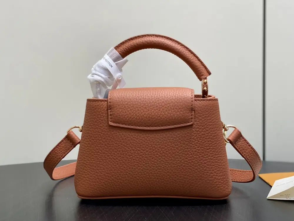 Louis Vuitton Сумка Capucines шкіряна 22 см — Фото 3