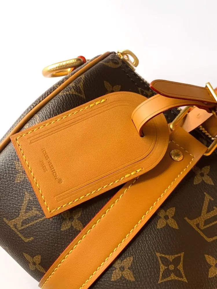 Louis Vuitton Сумка дорожняя Keepall 25 — Фото 5