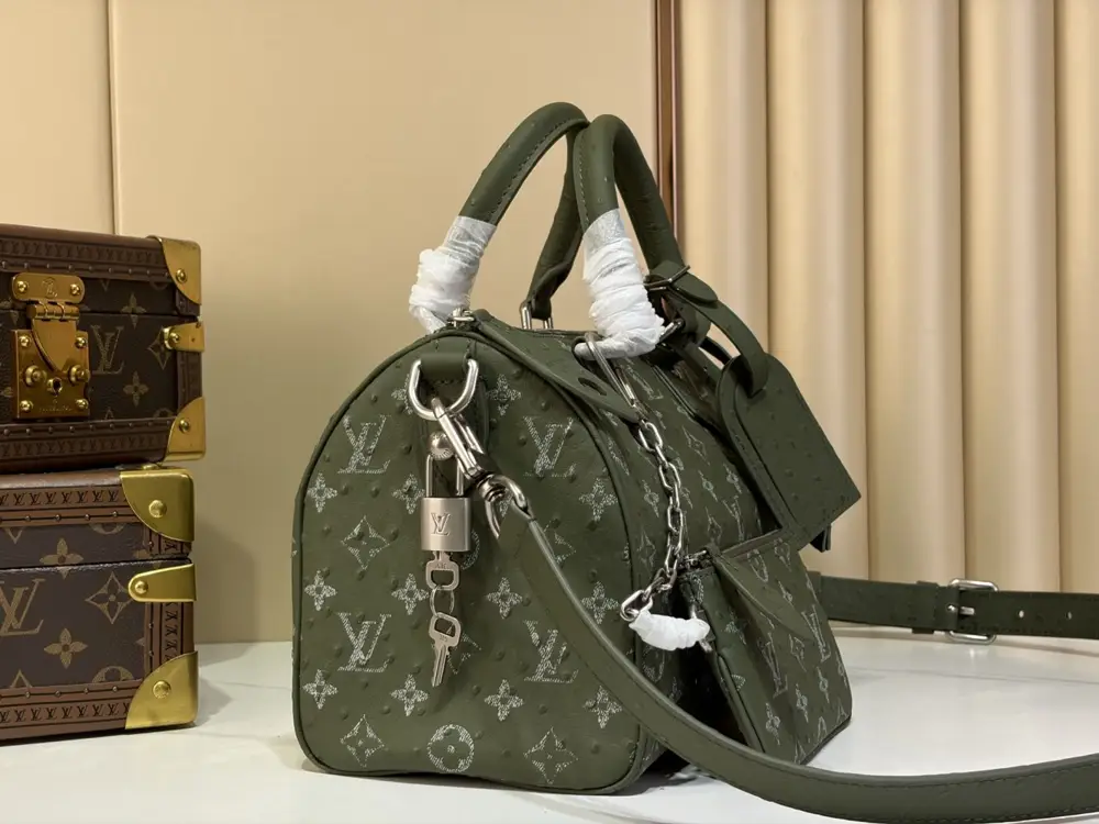 Louis Vuitton Сумка дорожні SPEEDY BANDOULIÈRE 25 — Фото 2