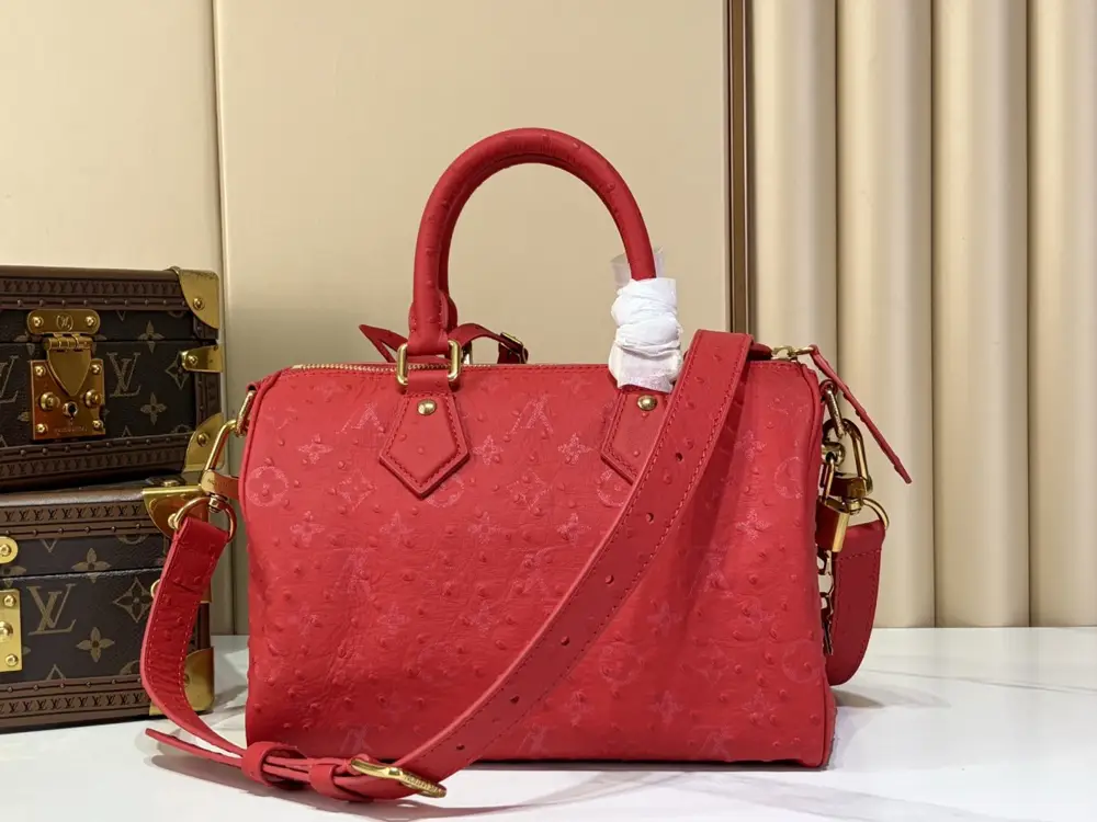 Louis Vuitton Сумка дорожні SPEEDY BANDOULIÈRE 25 — Фото 3