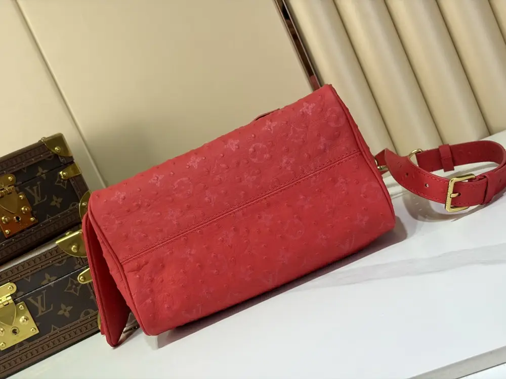 Louis Vuitton Сумка дорожні SPEEDY BANDOULIÈRE 25 — Фото 4