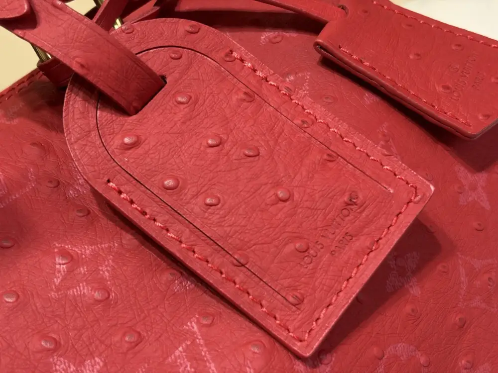 Louis Vuitton Сумка дорожні SPEEDY BANDOULIÈRE 25 — Фото 5