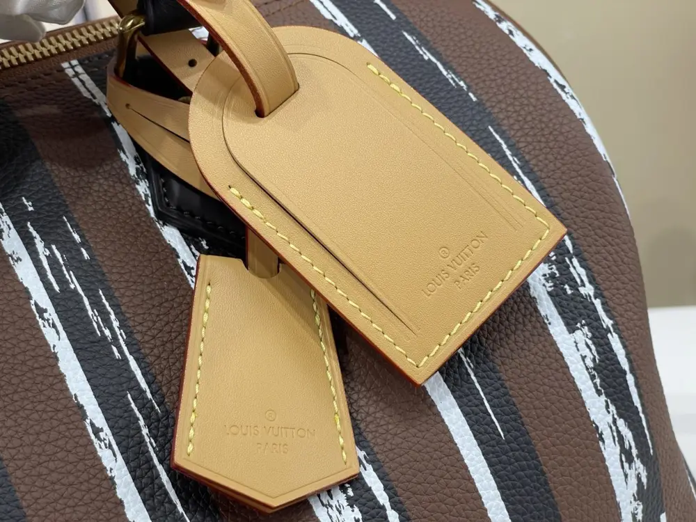 Louis Vuitton A bag highway Speedy Bandulier 30 — Photo 5