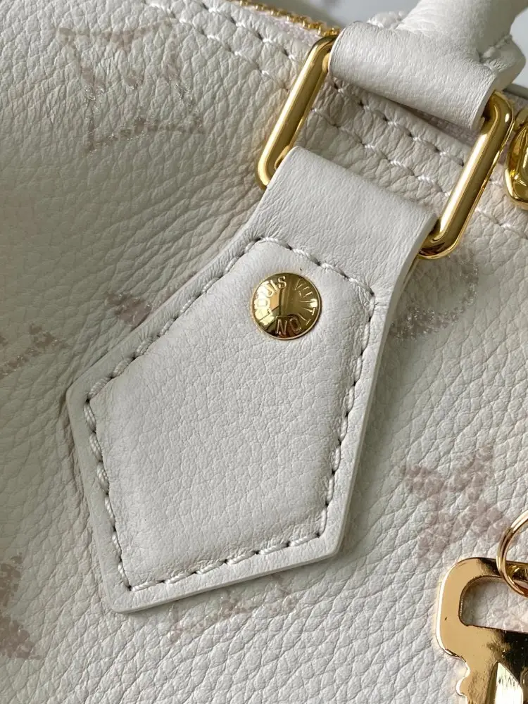 Louis Vuitton Сумка Speedy Bandoulière 25 — Фото 5