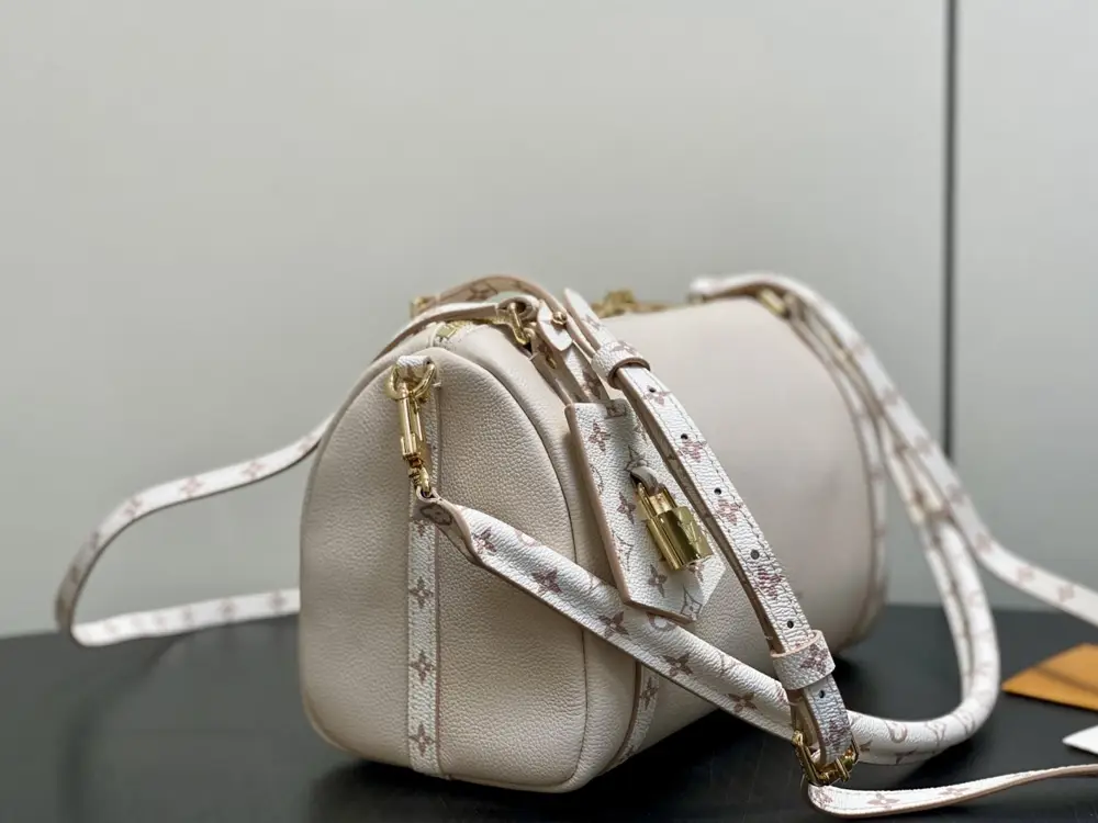 Louis Vuitton Сумка Speedy Pillow Bag 26 см — Фото 2