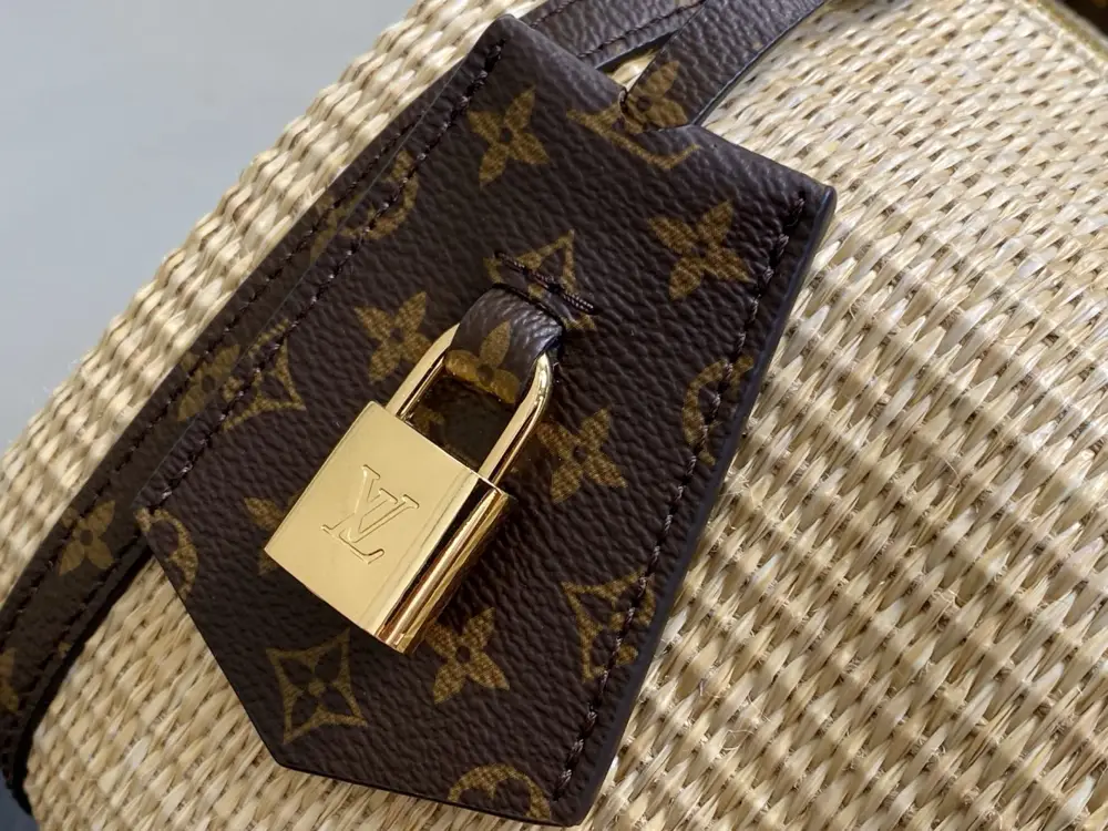 Louis Vuitton Сумка Speedy Pillow Bag 26 см — Фото 5